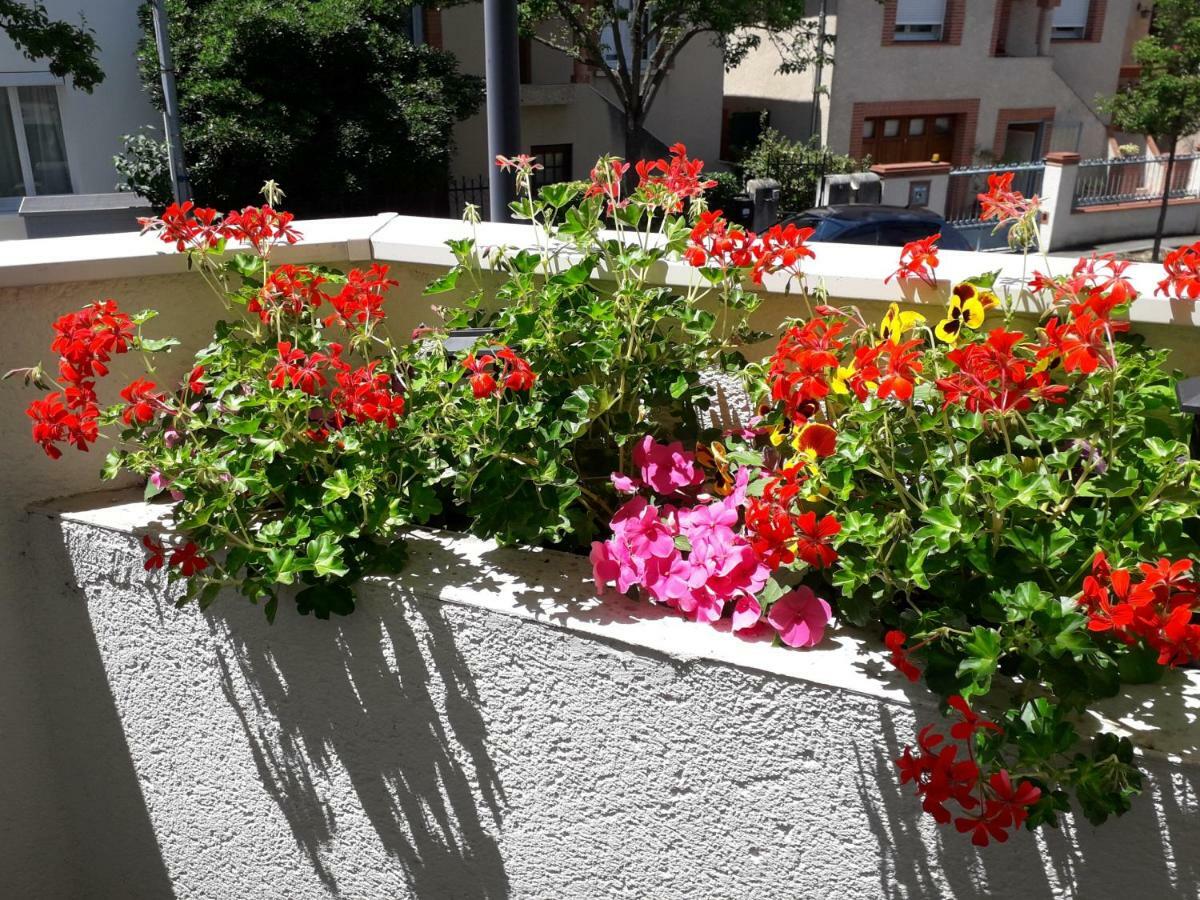 :) Grand Studio Lumineux A Toulouse Et Parking ภายนอก รูปภาพ